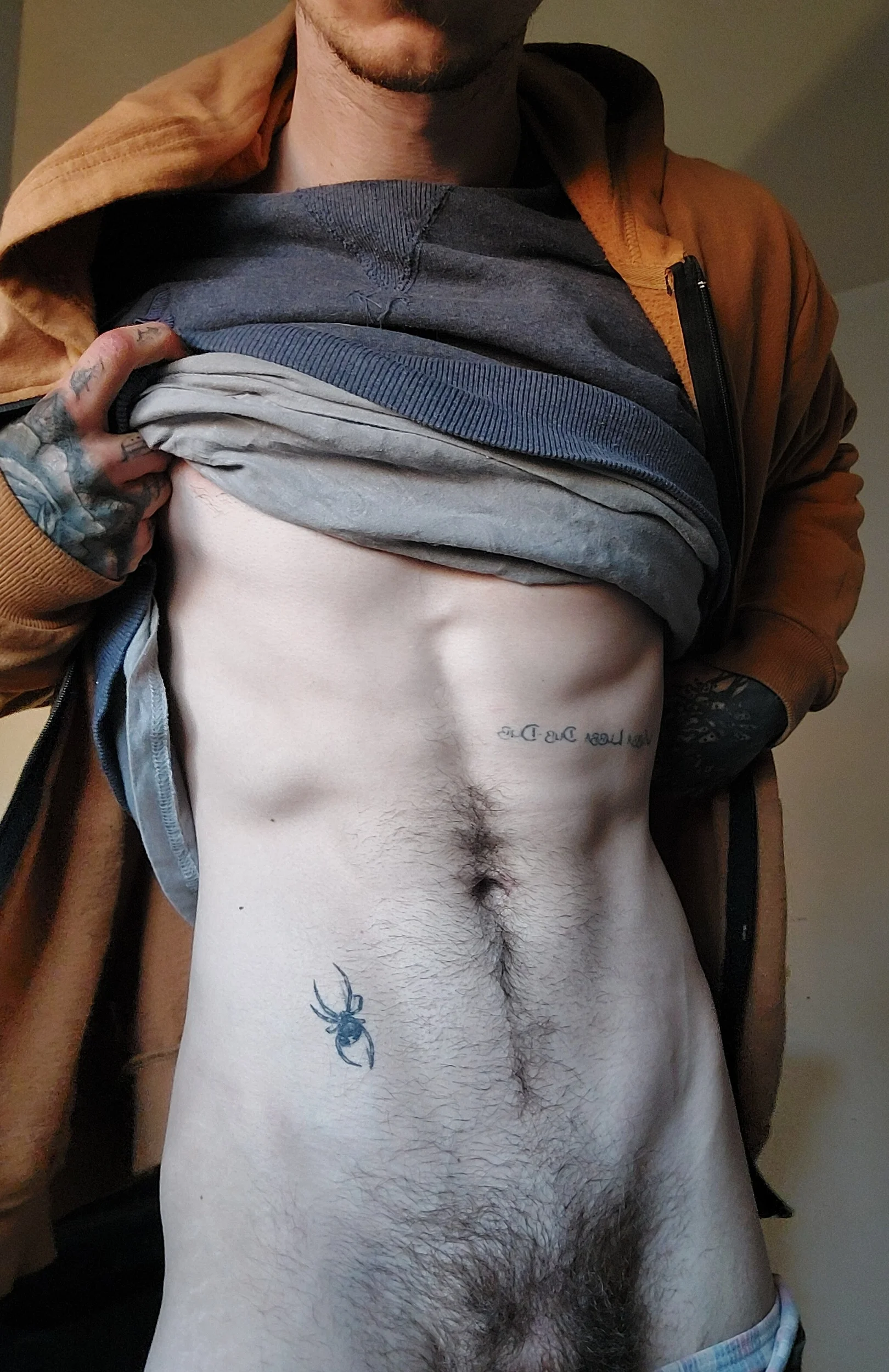 indoors, standing, tattoos, penis, 1boy, male, white male, shirt up, shirt lift, male only, pants down, abs, hairy
