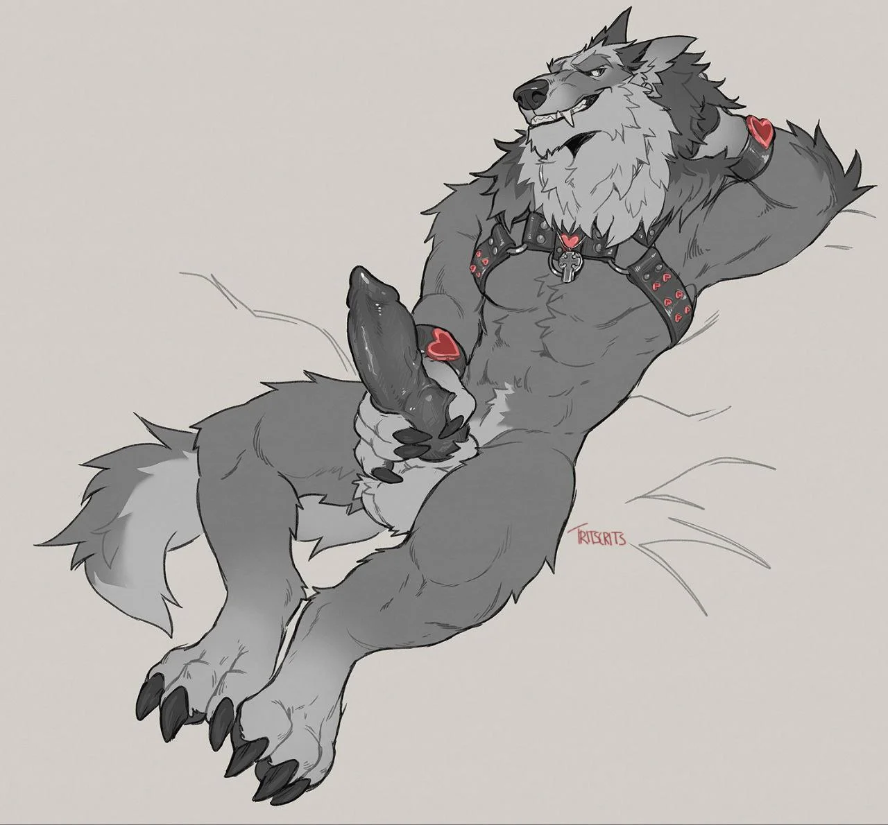 front view, completely nude, navel, stomach, naked, nude, solo, penis, on back, male, erection, 1boy, balls, male only, furry, animal ears, tail, lying, furry male, male focus, testicles, collar, abs, harness, masturbation, lying down, muscular, paws, muscular male, wolf boy, knot, wolf ears, armpits, wolf tail, full body, arm behind head, grey fur, claws, monochrome
