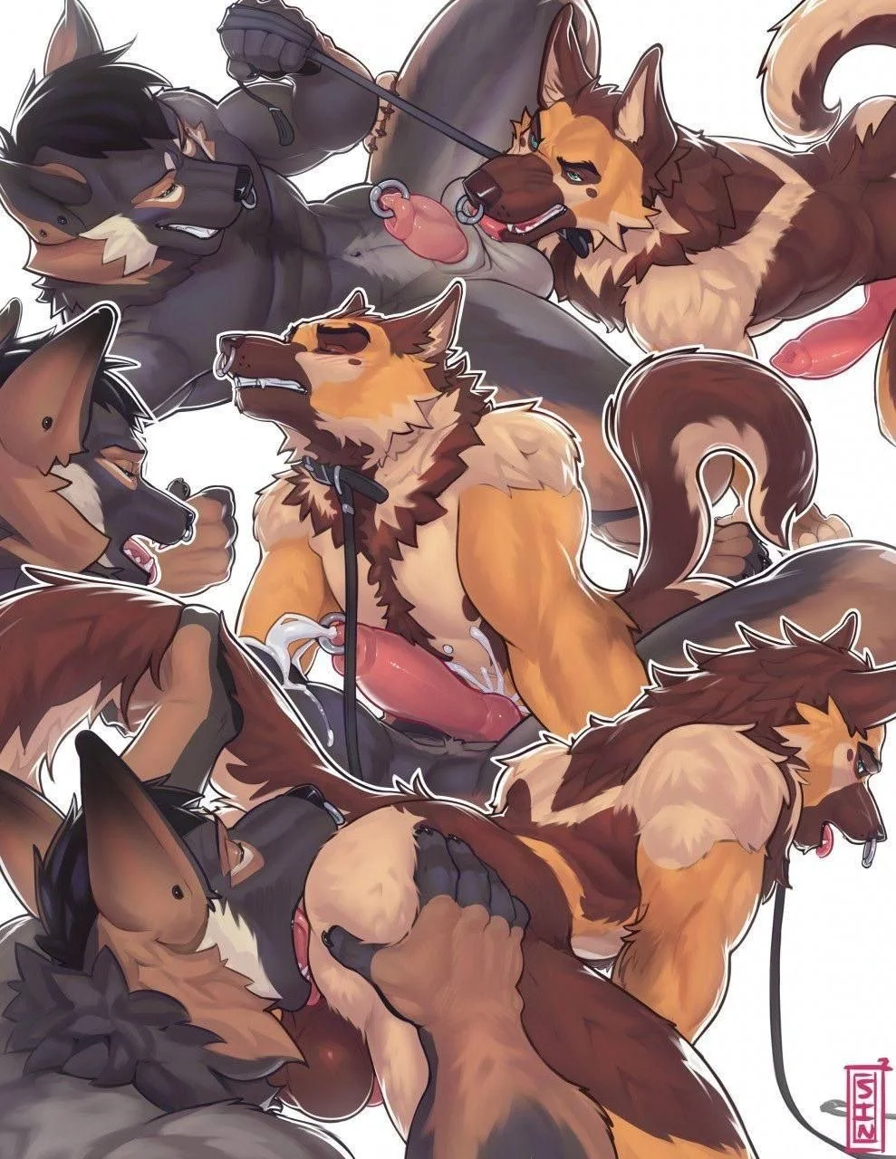 nipples, ass, completely nude, navel, stomach, anus, nude, spread legs, penis, tongue out, erection, cum, thick thighs, tongue, furry, animal ears, collar, anal, brown eyes, abs, tail, 2boys, couple, testicles, fellatio, leash, furry male, male focus, ejaculation, muscular, spread anus, black eyes, muscular male, white fur, brown fur, oral, chest hair, licking, black fur, dog ears, dog tail, orange fur, anilingus, multiple views