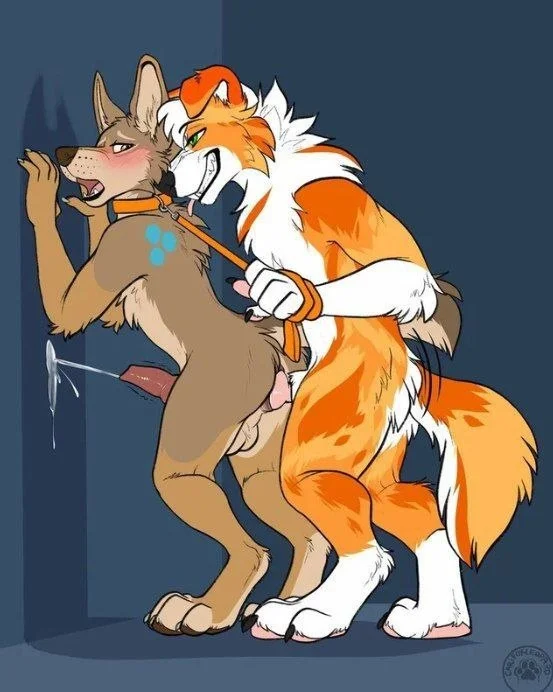 ass, completely nude, standing, naked, nude, smile, penis, male, erection, balls, male only, furry, animal ears, cum, tail, furry male, male focus, testicles, 2boys, anal, penetration, collar, blush, muscular, muscular male, teeth, anal penetration, dog boy, sex, dog ears, ejaculation, white fur, brown fur, dog tail, body fur, from side, green eyes, anal sex, leash, black fur, cum in ass, full body, orange hair, fox tail, looking at another, animal collar, animal ear fluff, grin, holding leash, leash pull, against wall