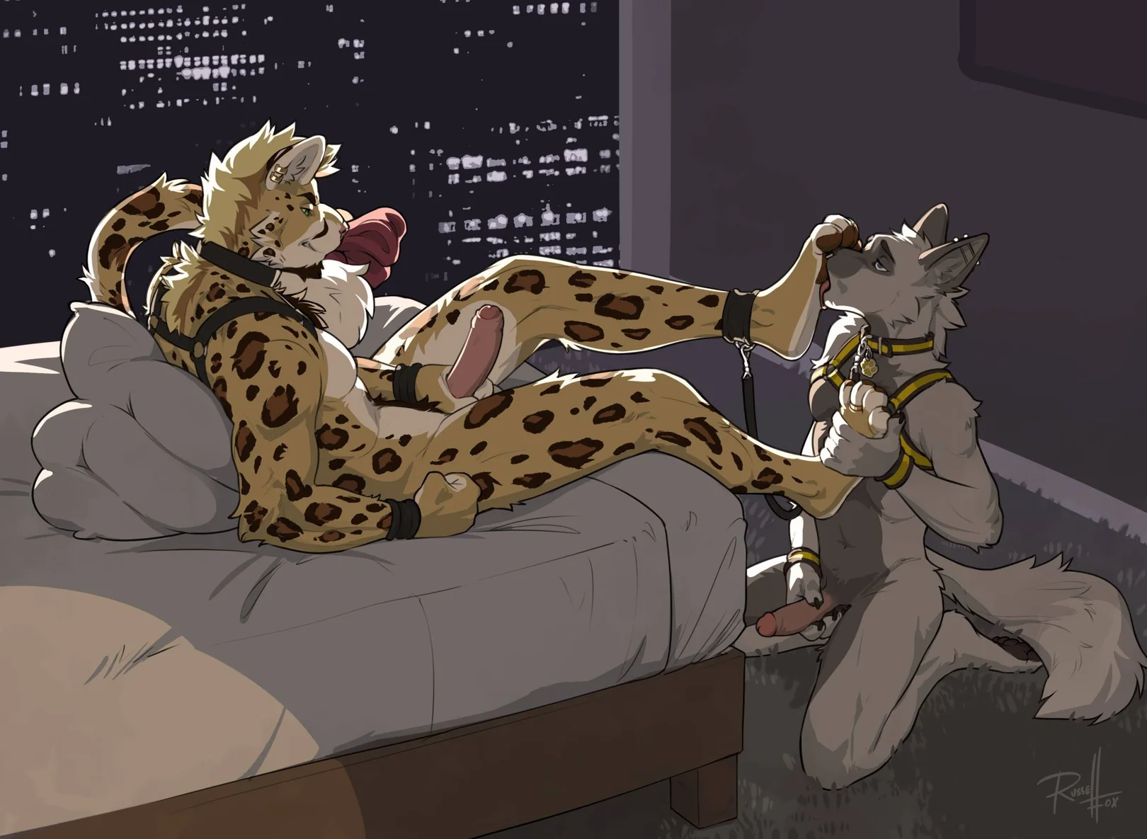 nipples, indoors, completely nude, on bed, bedroom, nude, naked, piercing, sitting, male, penis, male only, erection, thighs, furry, balls, male focus, animal ears, testicles, tail, furry male, on floor, tongue out, lying down, 2boys, paws, muscular, muscular male, collar, ear piercing, bdsm, masturbation, wolf boy, harness, wolf ears, wolf tail, leash, anthro, leopard tail, licking paws, domination