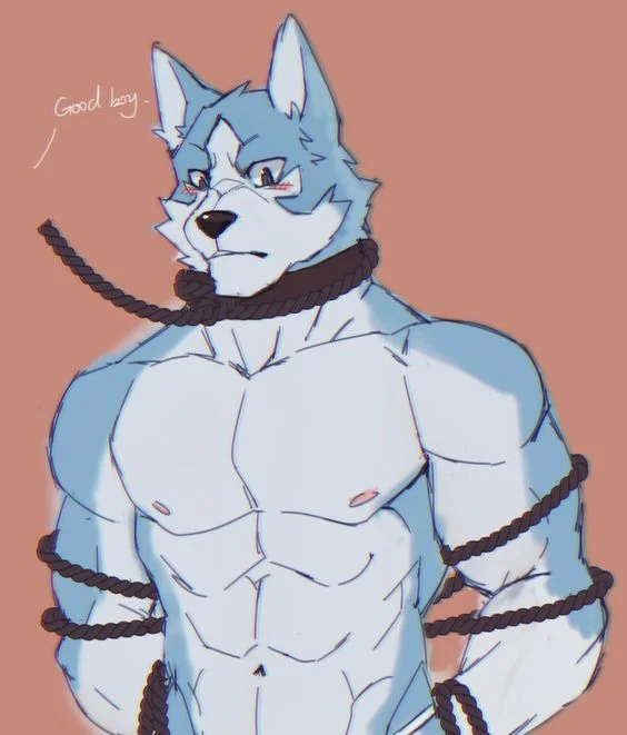 nipples, looking at viewer, completely nude, navel, standing, naked, nude, stomach, solo, male, male only, 1boy, furry, animal ears, male focus, furry male, muscular, abs, muscular male, blush, bdsm, wolf boy, white fur, dog boy, pectorals, wolf ears, arms behind back, blue fur, rope, topless male, bound, upper body